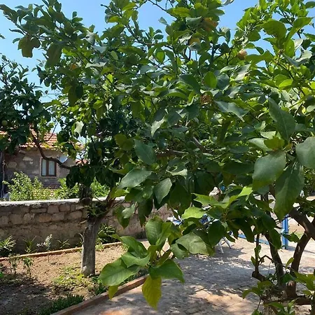 Litri Butik Bed & Breakfast Cesme