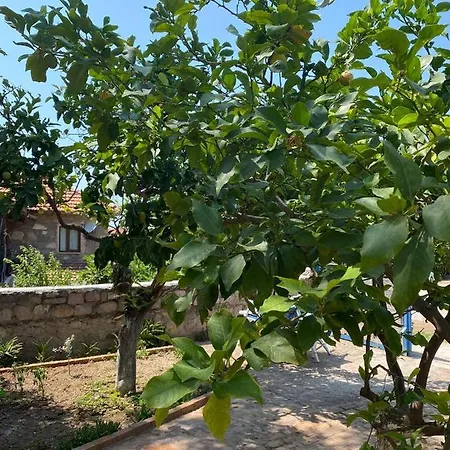 Litri Butik Holiday home Cesme